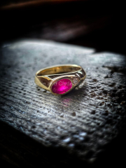 594196299_1161051446141302_6716462426049266532_n