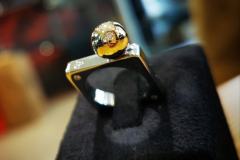 332187022_1207495613490569_5483231787259908869_n