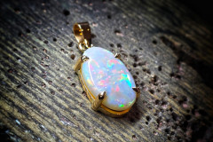 668973513_1256755909904188_8797999450077775670_n